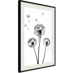 Arkiio Affisch Flying Dandelions [Poster] 40x60 Poster